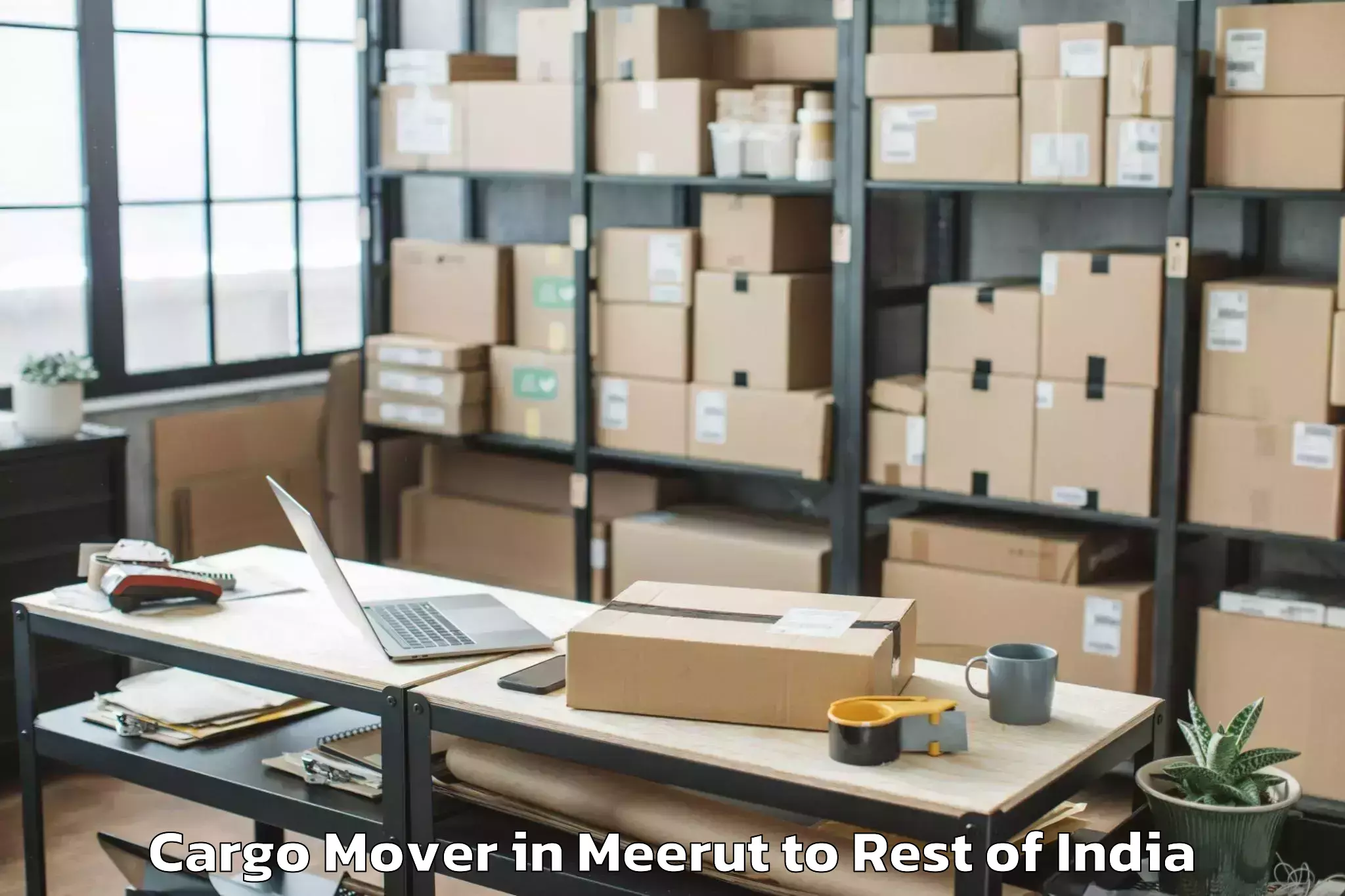 Top Meerut to Mopom Adipasi Cargo Mover Available